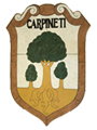 Logo Carpineti