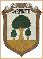 Logo Carpineti
